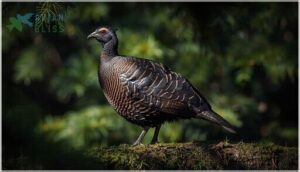 coloration patterns coloration patterns