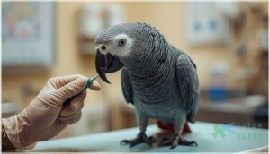 common health concerns common health concerns