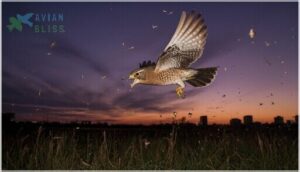 common nighthawk common nighthawk
