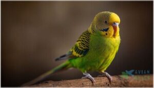 continuous or intense tail movements continuous or intense tail movements