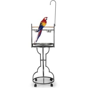 COZIWOW 72" Parrot Stand,Stainless Steel B0CW2T6RPT