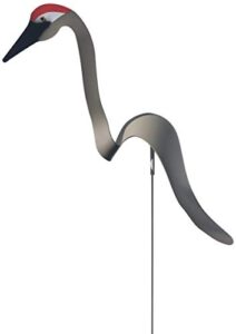 Dancing Yard Sandhill Crane B07Q2BWS7Y