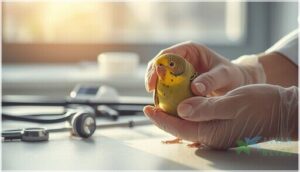 diagnosing viral infections in birds diagnosing viral infections in birds