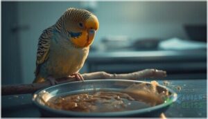 digestive issues (diarrhea, vomiting) digestive issues (diarrhea, vomiting)