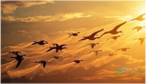 energy conservation and reduced fatigue energy conservation and reduced fatigue