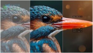 enhancing feathers, eyes, and beaks enhancing feathers, eyes, and beaks