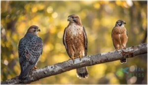 feather colors and patterns feather colors and patterns
