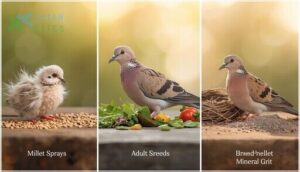 feeding doves at different life stages feeding doves at different life stages