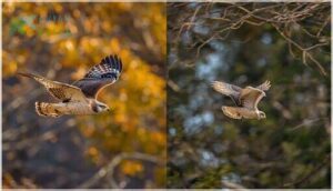 flight patterns and behavior differences flight patterns and behavior differences