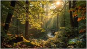 forests and woodlands forests and woodlands