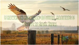 hawks in michigan hawks in michigan