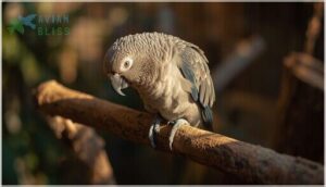 health and safety considerations health and safety considerations