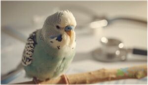 health concerns linked to head bobbing health concerns linked to head bobbing