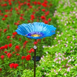 Homight Solar Glass Blue Bird B09Y4FC8JK