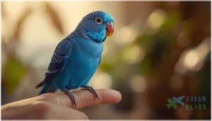 how blue parakeets learn to talk how blue parakeets learn to talk