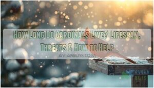 how long do cardinals live how long do cardinals live