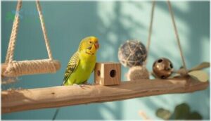 how to choose safe toys for parakeets how to choose safe toys for parakeets