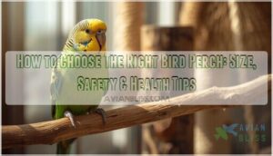 how to choose the right bird perch