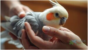 how to identify and assess the injury how to identify and assess the injury