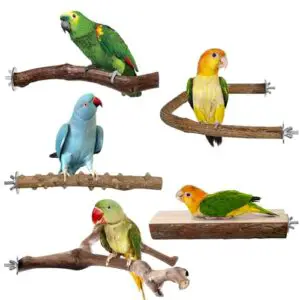 HPAWHOMEPART Bird Perches, 5pcs Natural B0D4LZB86P