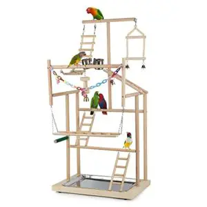 Ibnotuiy Pet Parrot Playstand Parrots B09VP9HQS3