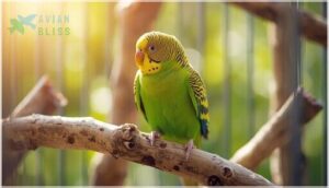 importance of textured and irregular surfaces importance of textured and irregular surfaces