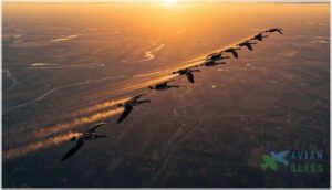 increased flight range during migration increased flight range during migration