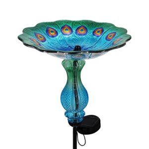 John's Studio Peacock Bird Bath B09M829FD7