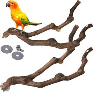 kathson Natural Parrot Perch Bird B08SWHMS9M