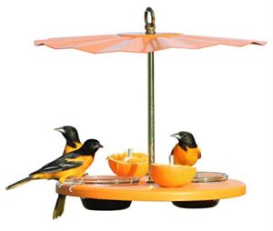 Kettle Moraine Super Oriole Recycled B01CR9K21S