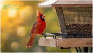 key features to look for key features to look for