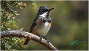 key physical characteristics key physical characteristics