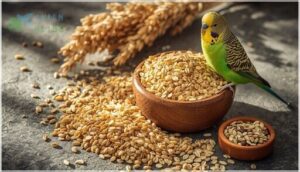 limited seeds and whole grains limited seeds and whole grains