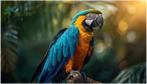 macaws macaws