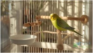 maintaining the ideal cage environment maintaining the ideal cage environment