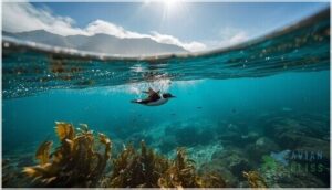 marine environments marine environments