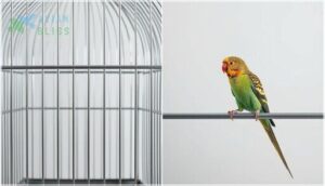 measuring vertical vs. horizontal bars measuring vertical vs. horizontal bars