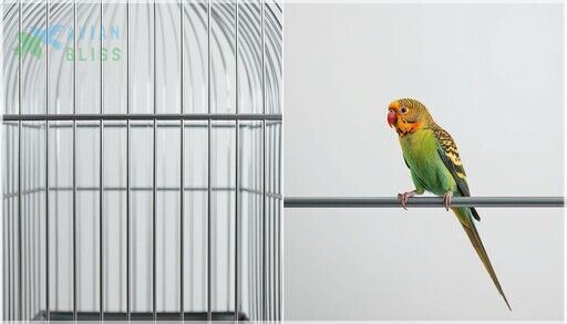 Bird Cage Bar Spacing Guide: Safety, Sizing & Best Practices - Safety Considerations For Macaw Cage Bar Spacing