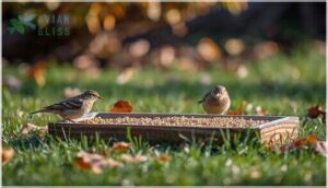 millet for ground-feeding small birds millet for ground-feeding small birds