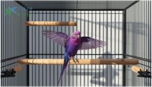 minimum cage size and bar spacing minimum cage size and bar spacing