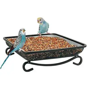 MIXXIDEA Ground Bird Feeder Tray, B08R7841H5