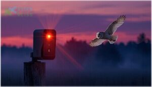 motion detection and night vision motion detection and night vision