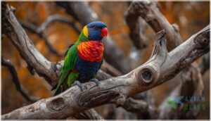 natural wood and branch perches natural wood and branch perches