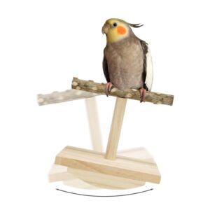 Natural Wood Bird Perch Stand,Rocking B0DYXQBS4P