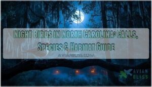 night birds in north carolina night birds in north carolina