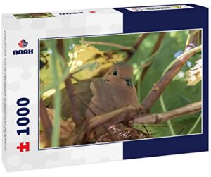 Noah Jigsaw Puzzle Mourning Dove B0BPQX9B3F
