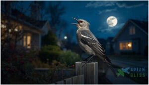 northern mockingbird northern mockingbird