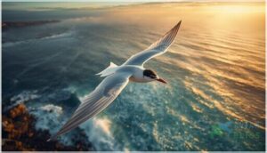 notable stopover points notable stopover points