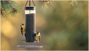 nyjer (thistle) feeders nyjer (thistle) feeders