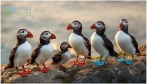 other birds mistaken for penguins other birds mistaken for penguins